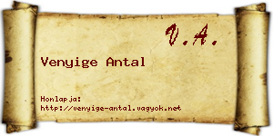 Venyige Antal névjegykártya